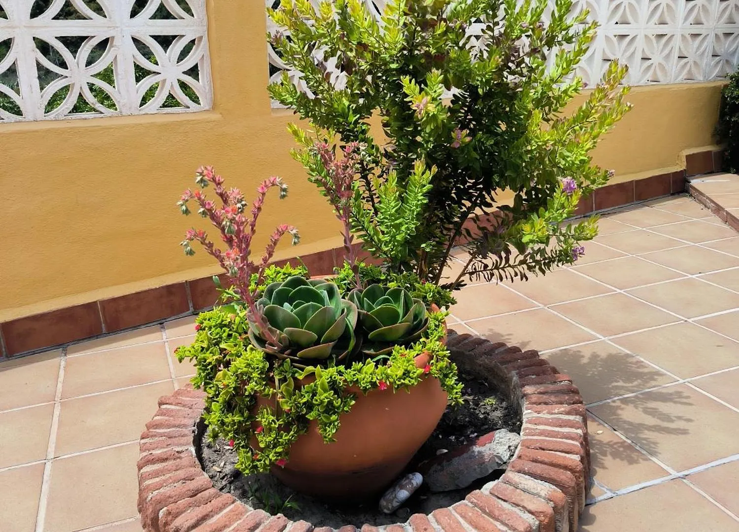 Villa cortijo Maria Gomez Málaga