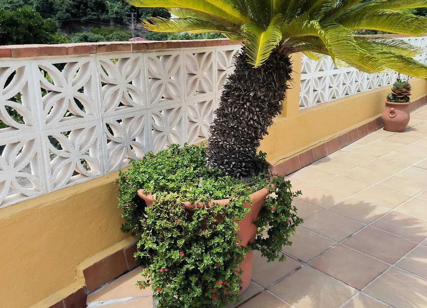 Villa cortijo Maria Gomez Málaga